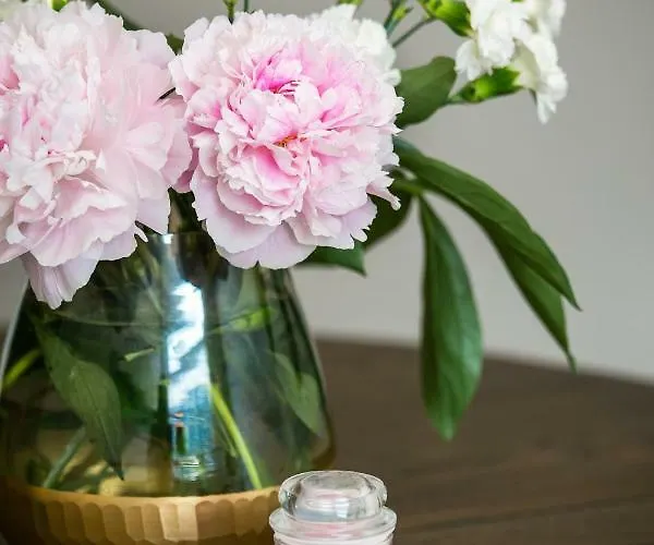 Apartament Królewskie Wzgórze Bezpłatny Parking